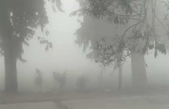 Cold will return again in Bihar from February 1: After this date there will be farewell to cold