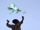 Kite flying in Rajasthan can lead to jail, Section 144 applicable for four hours