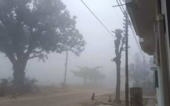 Light sunshine after fog, Meteorological Department issued rain alert... know the weather condition of UP