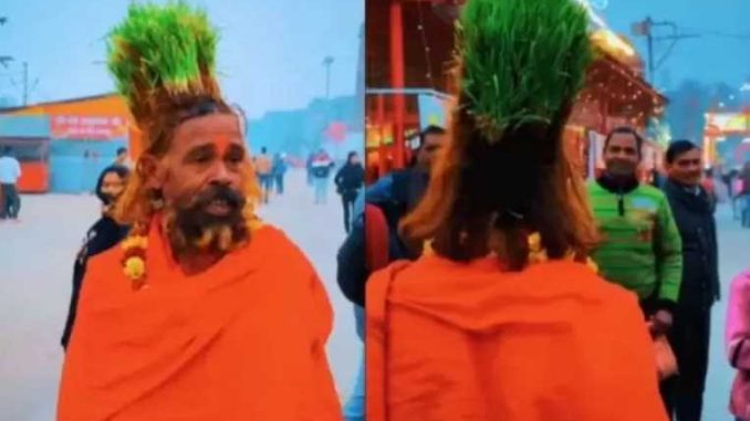 Wheat-like plant grew on the head of the monk, seeing the miracle, people are not able to believe