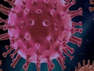 New strain of corona virus found in a person from Dehradun who returned from America
