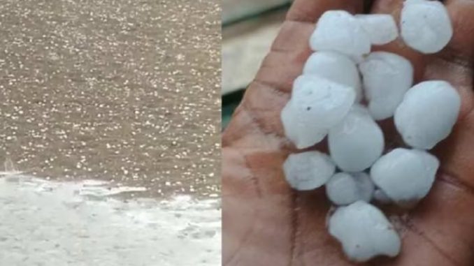 Warning of rain and hail in these districts from today in Rajasthan, know here in detail
