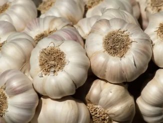 Garlic with hot water is a panacea for health, you will be surprised to know its benefits