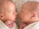 A 19-year-old girl gave birth to twins, the fathers of both of them turned out to be different, the mother herself was shocked!