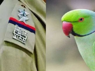 Bihar Police asked the liquor mafia's parrot his whereabouts! Know what the bird replied
