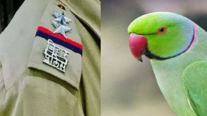 Bihar Police asked the liquor mafia's parrot his whereabouts! Know what the bird replied