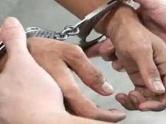 Punjab Police arrested active member of Goldie Brar gang from Himachal Pradesh
