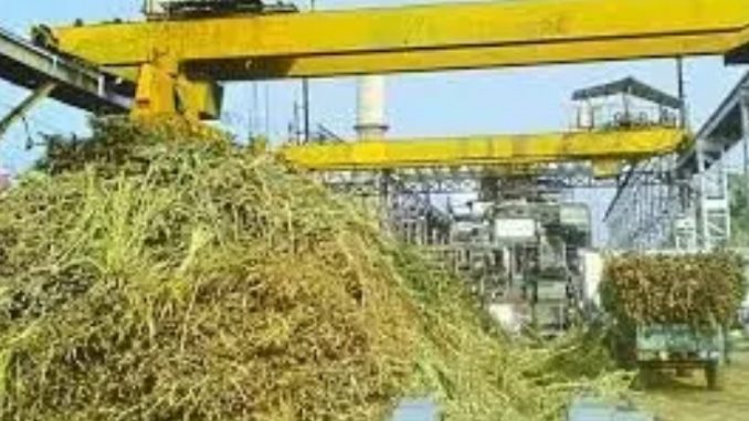 Crushing stopped at Rohana Sugar Mill for 12 hours due to technical fault