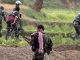 Encounter with Naxalites in Kanker, Chhattisgarh, news of four to five injured