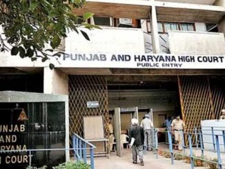 Punjab-Haryana High Court gives important decision, married daughter is also eligible for job on compassionate ground