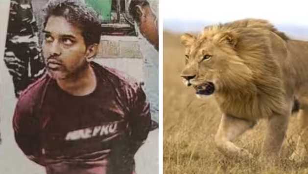 A young man jumped into a lion's cage in Chhattisgarh, a woman ranger saved his life like this