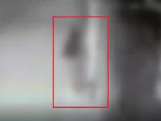 In UP, a woman roaming naked at night spreads terror, knocks on the door and...