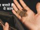 Chanakya Policy: These mistakes make even a rich man poor, do not do this work if you have money