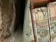 Termites ate lakhs of rupees kept in the locker of PNB Bank, shocking case came to light in Udaipur