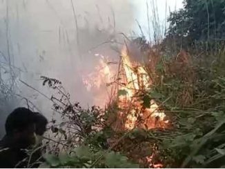 Fierce fire in Bihar's Valmiki Tiger Reserve Madanpur forest area is burning in smoke
