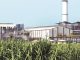 Muzaffarnagar: Tikaula Sugar Mill paid 26 crores