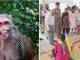 Raped by tying in chains, monkeys used to guard, this is how the dreadful ashram of Tamil Nadu was exposed