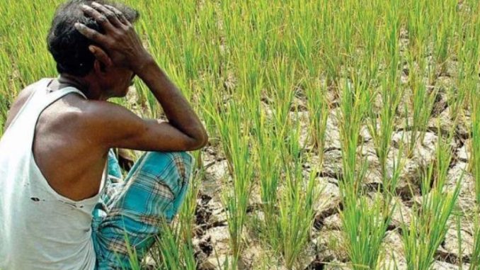 Will the month of March be frightening to the farmers? What is the prediction of the meteorological department
