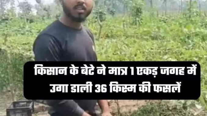 Farmer's son has grown 36 types of crops in just 1 acre, you will be shocked to know the profit