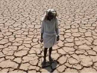 Damage to UP due to less rain in Uttarakhand, drought in February also; Experts are worried about this