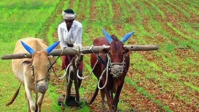 Crop insurance for just Re 1, financial assistance of Rs 12000 annually, farmers got a gift in this state