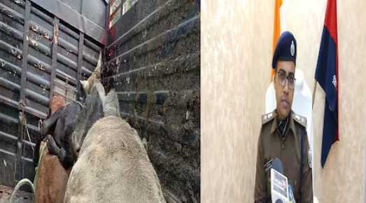 Police demanded a bribe of 4 lakhs to release cattle smugglers in Bihar, Thanedar line spot, 2 watchmen suspended