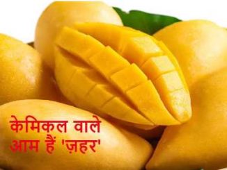 Chemical mangoes are being sold indiscriminately before the season, catch the cleverness of the fruit seller like this