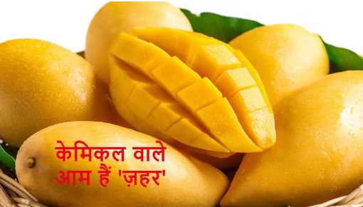 Chemical mangoes are being sold indiscriminately before the season, catch the cleverness of the fruit seller like this