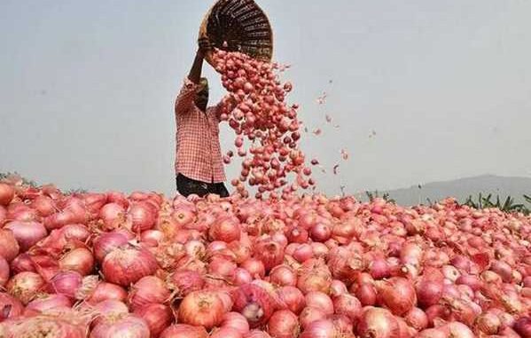The falling prices of onions brought out a lot of tears from the farmers, now the government has taken this big decision