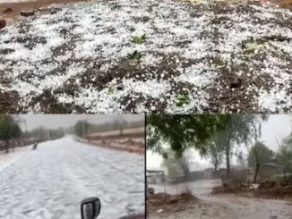 Meteorological Department issued warning once again in UP, rain with hail in these districts, see here