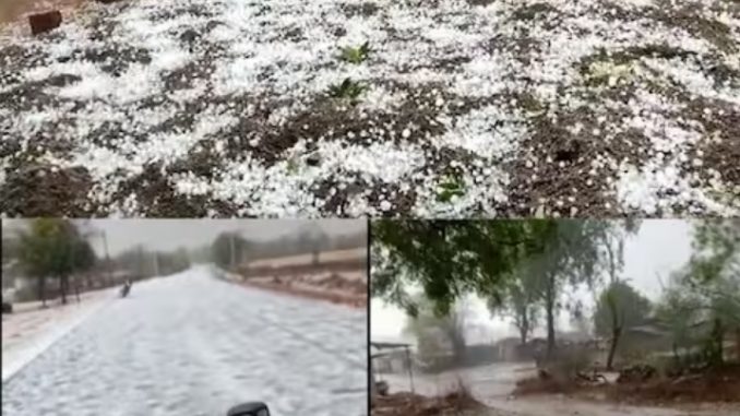 Meteorological Department issued warning once again in UP, rain with hail in these districts, see here