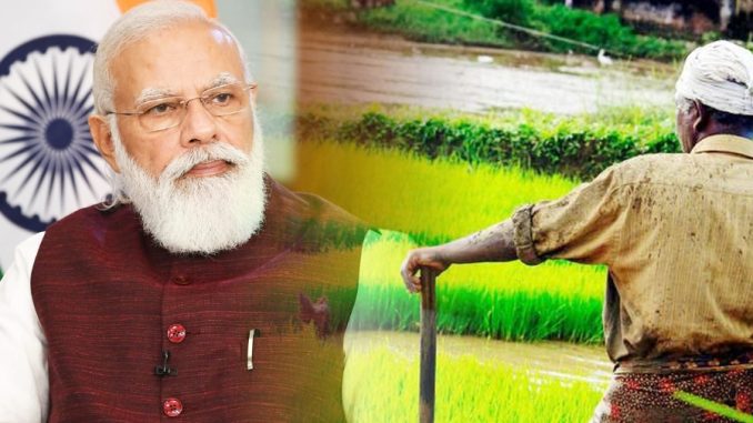Modi government's gift to 40 lakh farmers, minimum support price of jute increased by Rs 300