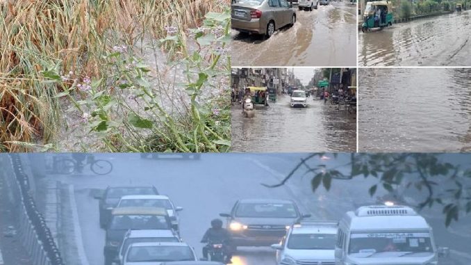 Early morning: Heavy rains in the country, devastation due to hail, jams, crops ruined, see latest news here