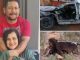 Husband and wife were counting their last breaths in a terrible car accident, then hungry lions came and surrounded them and then...