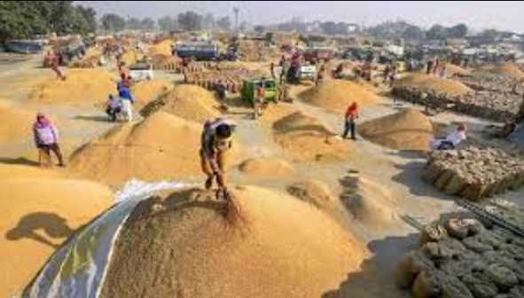 Politics started on paddy purchase in Chhattisgarh, know what BJP leader said