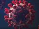 Himachal Corona Virus Updates: 140 Corona positives found in Himachal in 24 hours