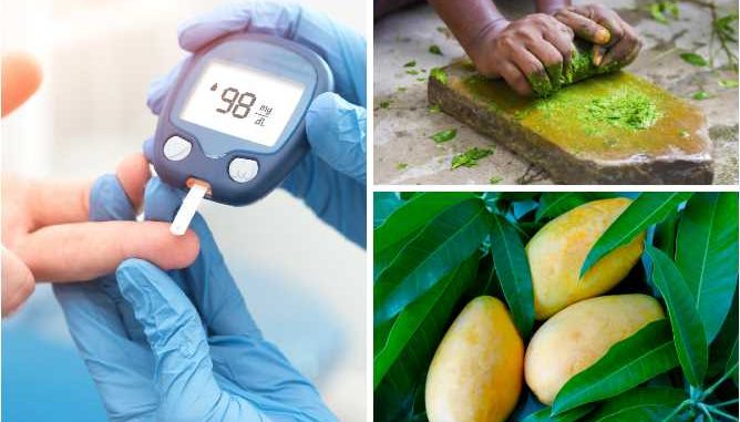Mango leaves are full of insulin, sugar will not increase even after eating sweets