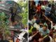 Abhi Abhi: High speed wreaks havoc in Bihar, many including policemen died