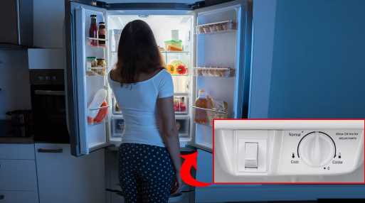 At what number to run the refrigerator in summer? Know the important things otherwise the fridge will explode