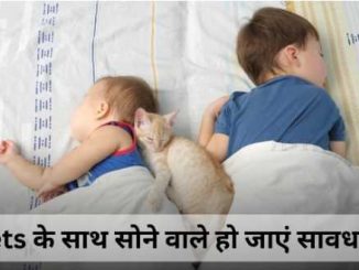 Be careful if you sleep with pets, dangerous bacteria will enter the body!