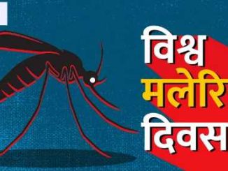 As summer progresses, mosquitoes become the cause of deadly diseases, know how to avoid malaria?