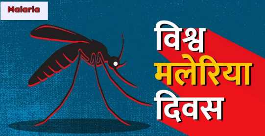 As summer progresses, mosquitoes become the cause of deadly diseases, know how to avoid malaria?