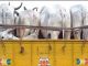 Truck full of cows caught in Hisar: one smuggler caught, another managed to escape