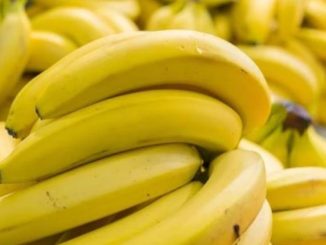 After all why banana is crooked, have you ever thought? This scientific reason is hidden behind, you should also know this secret