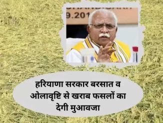 Haryana government gave a big gift to farmers, compensation will be given for crops damaged due to rain and hail