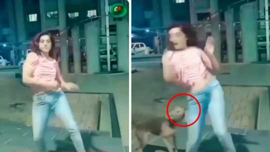 'Basanti' was dancing in front of the dog, what the dog did in anger will be remembered for life