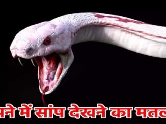 Snake Dream: Snakes appear again and again in dreams, a deep secret is hidden for the future!