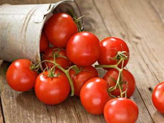 Do you eat tomatoes fiercely in summer? Be careful, there can be danger of these diseases