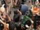 Abhi Abhi: Uprooted tents of wrestlers in Jantar Mantar, Bajrang Punia, Vinesh-Sangita Phogat, Sakshi Malik in custody, fierce struggle