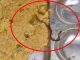 : Snake found in the mid-day meal of the school in Bihar, the health of the children deteriorated; Family members created ruckus